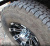 55807_real_961_3.jpg